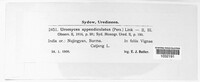 Uromyces appendiculatus image